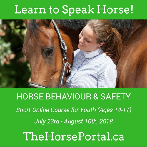 Equine Guelph’s Horse Behaviour and Safety course